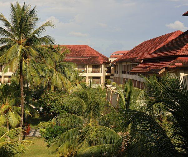 The Natseapa hotel among palm trees