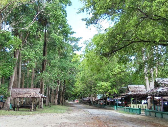 A long straight tree-lined road with roadside stalls